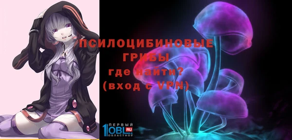 ГАЛЛЮЦИНОГЕННЫЕ ГРИБЫ Протвино