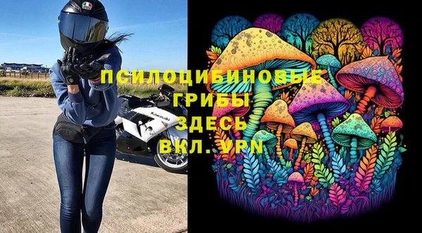 ГАЛЛЮЦИНОГЕННЫЕ ГРИБЫ Протвино