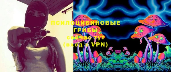ГАЛЛЮЦИНОГЕННЫЕ ГРИБЫ Протвино