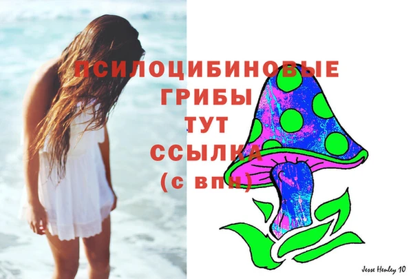прущая мука Пролетарск