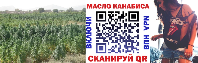 дарнет шоп  Суджа  MEGA вход  Дистиллят ТГК гашишное масло 